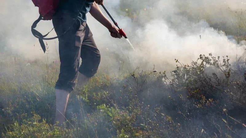 Площадь лесного пожара в Надымском районе увеличилась до 30 гектаров