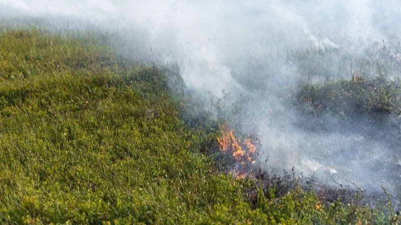 В Надымском районе увеличилось количество лесных пожаров