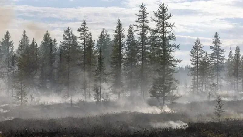 Смог в городе: надымчане почувствовали запах гари