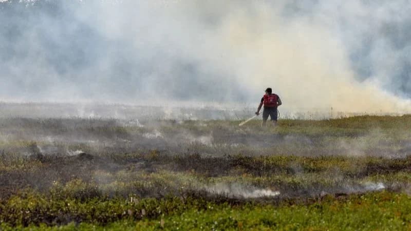 Спасатели локализовали почти все лесные пожары в Надымском районе