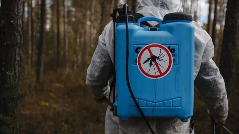 Второй раунд против комаров: в Надыме обработали общественные зоны