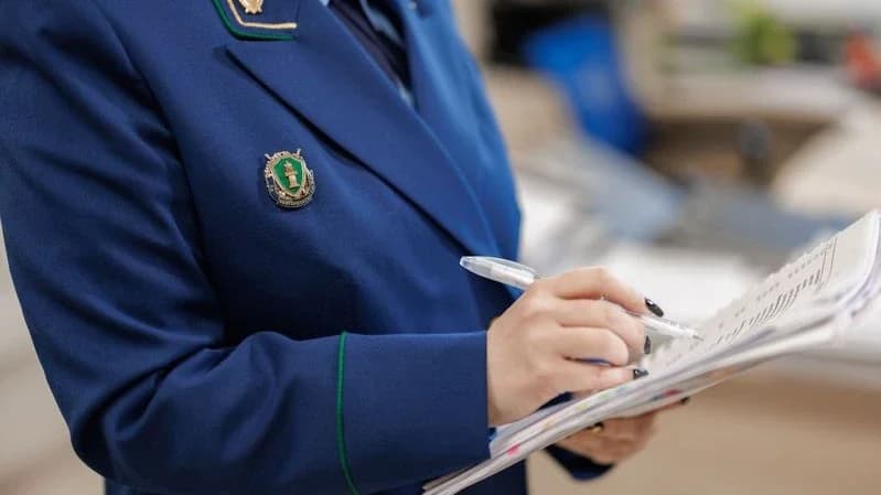 Срок за алименты: мать из Надыма задолжала ребенку более 40 тысяч рублей