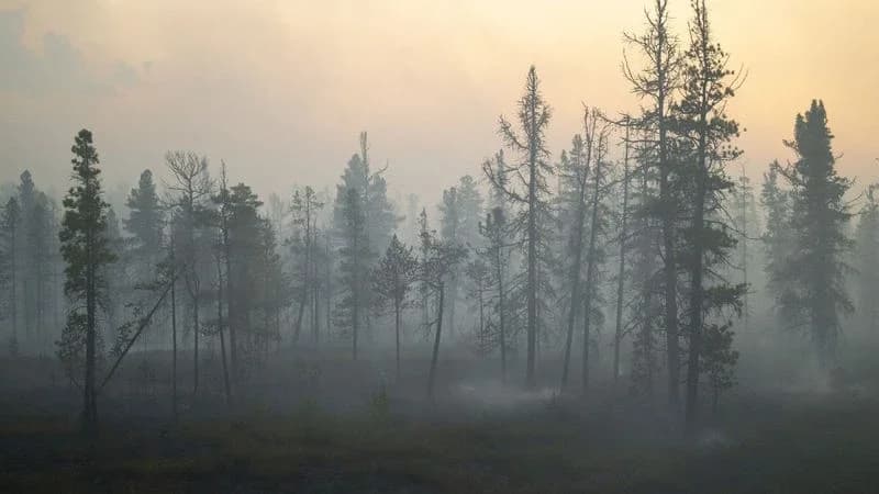 В Надымском районе тушат более 30 пожаров
