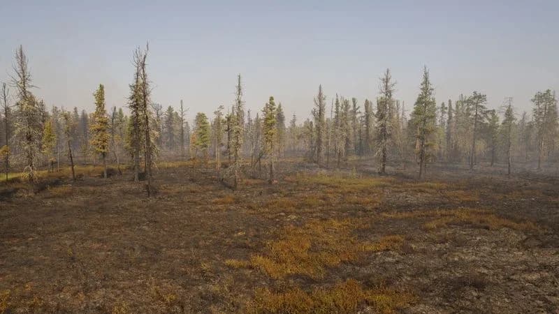 В Надымском районе сокращается количество пожаров