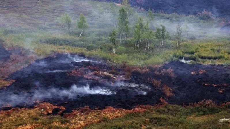 Дым от пожаров накрыл Надым