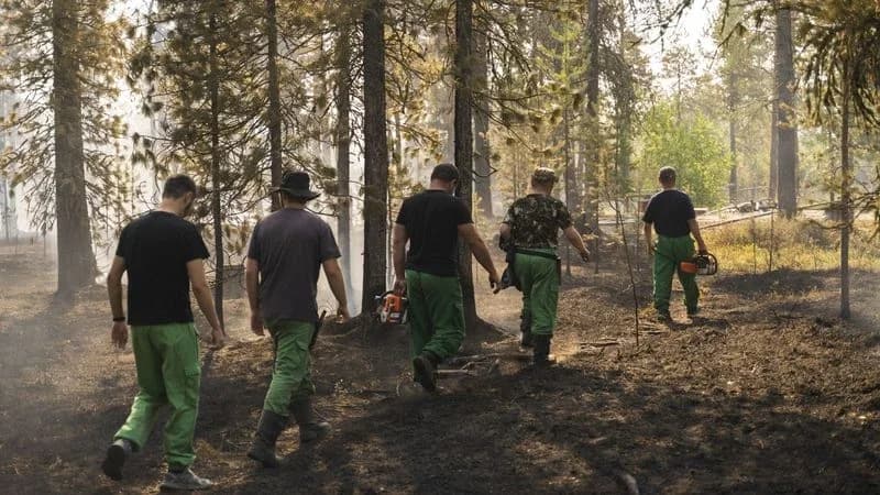 На Ямале усиливают борьбу с пожарами: еще 100 спасателей подключатся к тушению