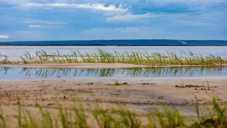 Осенние нотки: в Надымском районе прогнозируют дожди и снижение температуры
