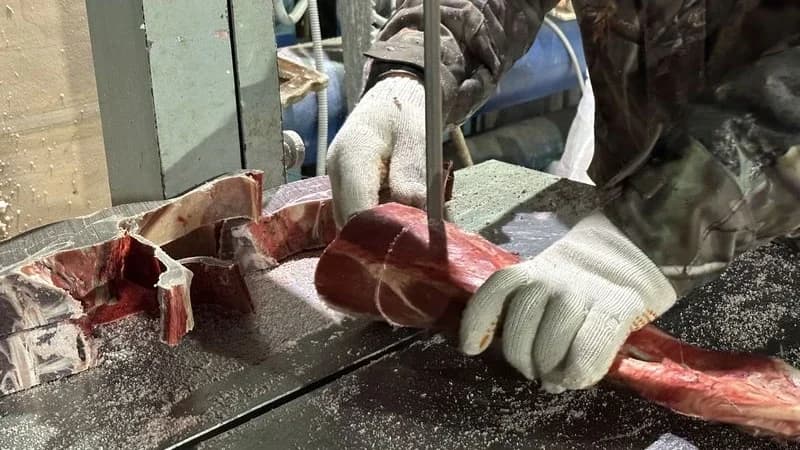 Мясо северного оленя: Надымский район включается в масштабную заготовительную кампанию