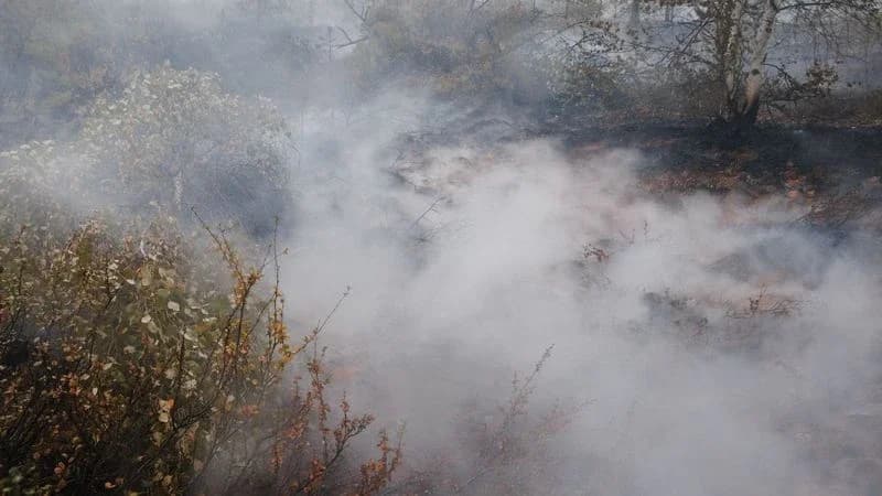 Сухая и ветреная погода в Надымском районе способствует распространению пожаров