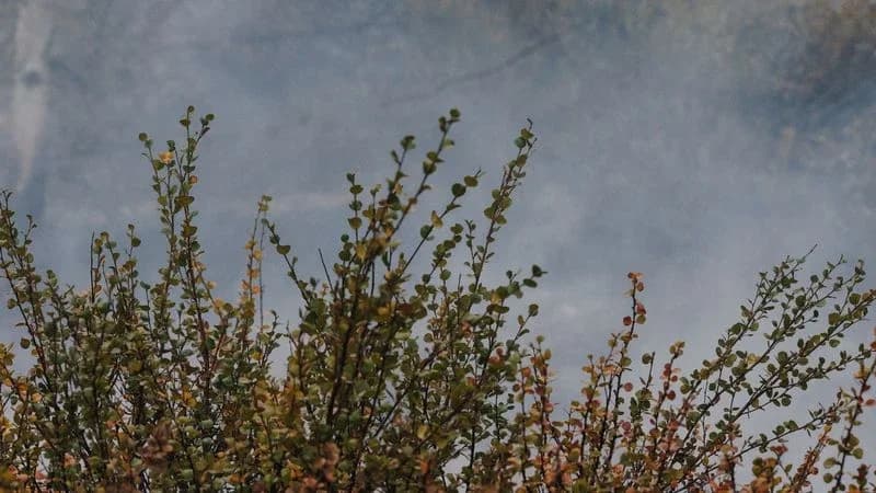 В Надымском районе спасатели продолжают борьбу с природными пожарами