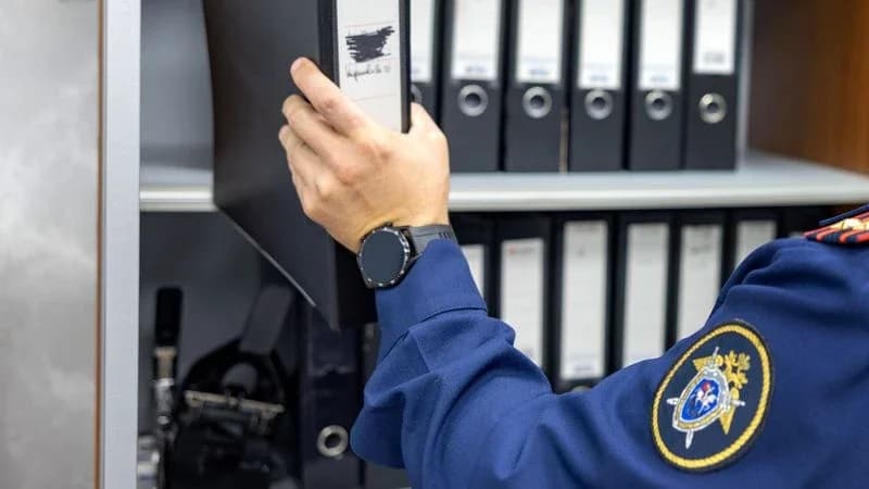 Суд в Надыме: женщина ответит сразу по двум статьям