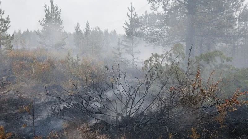 Большинство пожаров в Надымском районе локализованы