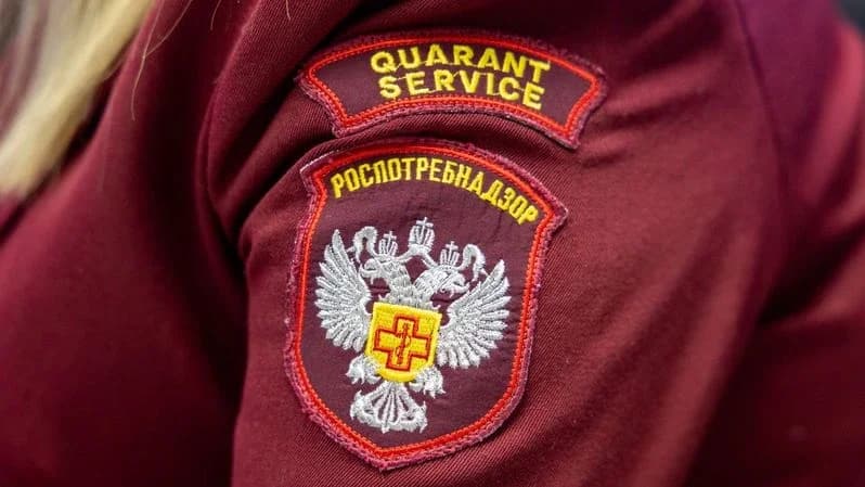 Профилактика гриппа и ОРВИ: специалисты ответят на вопросы надымчан по телефону